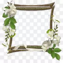 ��򶯻�-������