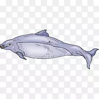 ��ͨ������-�ɰ��Ŀ�ͨ��-������