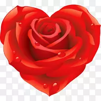 ��ֽ����android-android-������