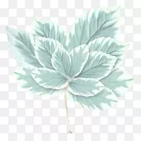 Ò¶Ë®²Ê»¹âդͼÐÎ.Ò¶-¿ÕÈôÍø Ò¶Ë®²Ê»¹âդͼÐÎ.Ò¶-¿ÕÈôÍø