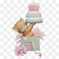 生日蛋糕贺卡祝你生日快乐-粉红色贺卡-空若网 生日蛋糕贺卡祝你生日快乐-粉红色贺卡-空若网