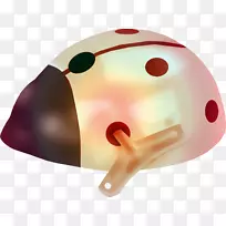 昆虫-美丽的昆虫-空若网 昆虫-美丽的昆虫-空若网