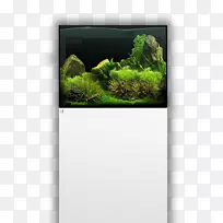 珊瑚礁水族馆海水生态系统珊瑚礁海水的水族灯-空若网 珊瑚礁水族馆海水生态系统珊瑚礁海水的水族灯-空若网