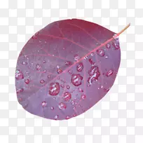 博客页电子邮件-空若网 博客页电子邮件-空若网