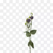 花卉设计切花花盆植物茎-新娘花束-空若网 花卉设计切花花盆植物茎-新娘花束-空若网