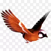 ���������-��PNG-������