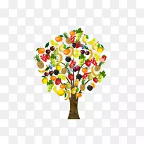 果树、蔬菜、苹果、香蕉-实物蔬菜-空若网 果树、蔬菜、苹果、香蕉-实物蔬菜-空若网