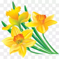 横幅剪贴画-黄花边框-空若网 横幅剪贴画-黄花边框-空若网