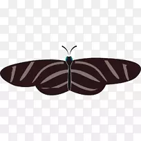 蝴蝶-永久免费-空若网 蝴蝶-永久免费-空若网