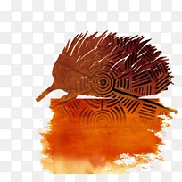 西澳大利亚博物馆Yirra Yakin剧院公司Noongar People土著澳大利亚人-土著人-空若网 西澳大利亚博物馆Yirra Yakin剧院公司Noongar People土著澳大利亚人-土著人-空若网