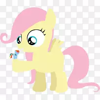 猫马犬科动物-空若网 猫马犬科动物-空若网