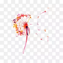 水彩画蒲公英版画蒲公英-空若网 水彩画蒲公英版画蒲公英-空若网