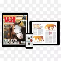 马展示广告品牌多媒体马术-空若网 马展示广告品牌多媒体马术-空若网