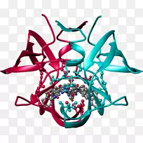 人体珠宝杯夹艺术.消毒过的昆虫病毒-空若网 人体珠宝杯夹艺术.消毒过的昆虫病毒-空若网