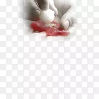 手指特制美味寿司-空若网 手指特制美味寿司-空若网