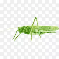 [ҽ]�ȳ�-����-������