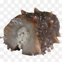 海参食品海鲜熟食黄瓜-空若网 海参食品海鲜熟食黄瓜-空若网