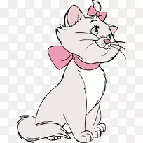 胡须猫摄影-猫剪贴画-空若网 胡须猫摄影-猫剪贴画-空若网