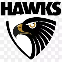 山楂足球俱乐部西海岸鹰悉尼天鹅2018年AFL赛季里士满足球俱乐部-鹰队-空若网 山楂足球俱乐部西海岸鹰悉尼天鹅2018年AFL赛季里士满足球俱乐部-鹰队-空若网