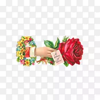 爱情浪漫花玫瑰剪贴画-花儿-空若网 爱情浪漫花玫瑰剪贴画-花儿-空若网