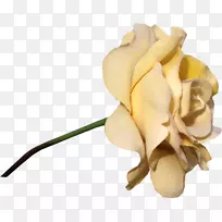 花园玫瑰纸花-空若网 花园玫瑰纸花-空若网