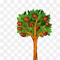 果树画萨拉克树-空若网 果树画萨拉克树-空若网