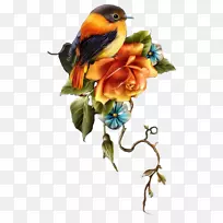 花卉博客头像剪贴画-花-空若网 花卉博客头像剪贴画-花-空若网