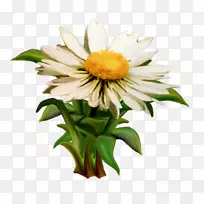 菊花牛眼雏菊剪贴画-菊花-空若网 菊花牛眼雏菊剪贴画-菊花-空若网