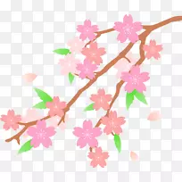 樱花剪贴画-花朵剪贴画-空若网 樱花剪贴画-花朵剪贴画-空若网