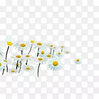 ��ͨ�ջ�-������