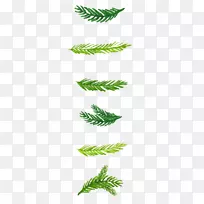 ʥ����ˮ�ʻ�.ˮ�ʻ�ʥ��װ��ֲ��-������