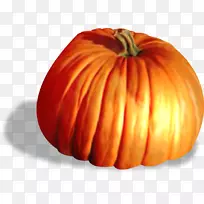 千斤顶灯笼葫芦南瓜葫芦-金南瓜-空若网 千斤顶灯笼葫芦南瓜葫芦-金南瓜-空若网