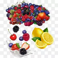 浆果果脯奥格里斯成分-蔬菜-空若网 浆果果脯奥格里斯成分-蔬菜-空若网