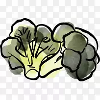 菜花食品蔬菜.手绘花椰菜-空若网 菜花食品蔬菜.手绘花椰菜-空若网