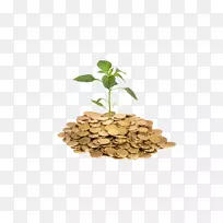 养老基金定期存钱-住房和富人-空若网 养老基金定期存钱-住房和富人-空若网