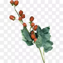 人工花卉茎-空若网 人工花卉茎-空若网