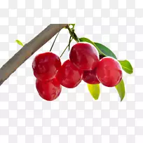 Ó£ÌÒ½¬¹ûÓ£ÌÒ-¿ÕÈôÍø Ó£ÌÒ½¬¹ûÓ£ÌÒ-¿ÕÈôÍø