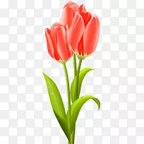 郁金香花束夹艺术-郁金香-空若网 郁金香花束夹艺术-郁金香-空若网