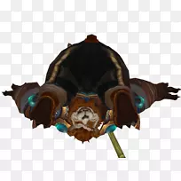 食肉嘴-峰会摊牌-空若网 食肉嘴-峰会摊牌-空若网