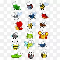 昆虫收藏摄影剪贴画-昆虫世界-空若网 昆虫收藏摄影剪贴画-昆虫世界-空若网