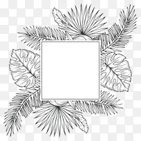 热带植物素描-热带植物-空若网 热带植物素描-热带植物-空若网