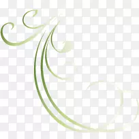 车身珠宝线字体-花卉元素-空若网 车身珠宝线字体-花卉元素-空若网