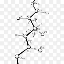 Ramachandranͼ����ǵ����ʽṹ-�Ǽ�-������