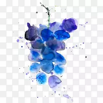 ÆÏÌÑ¾ÆÆÏÌÑË®²Ê»Ë®¹û²åͼ.ÆÏÌÑ-¿ÕÈôÍø ÆÏÌÑ¾ÆÆÏÌÑË®²Ê»Ë®¹û²åͼ.ÆÏÌÑ-¿ÕÈôÍø