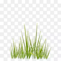 ����ӳ��3D�����ͼ��.ˮ�ʲ�-������