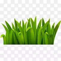 绿色动画下载-绿草-空若网 绿色动画下载-绿草-空若网