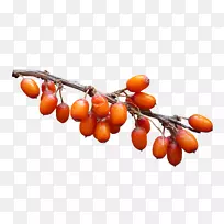 �＾�¸���˹������-�＾װ��Ʒ��-������