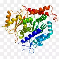 蛋白c膜材料tubg 2微管蛋白链基因-空若网 蛋白c膜材料tubg 2微管蛋白链基因-空若网