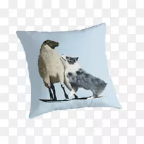 �Ĵ����������˹�Ӣ������Ȯ�ʺ�ͱ�����Ƭ��������÷-����-������