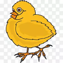 鸡肉水牛翅膀剪贴画-可爱的小鸡-空若网 鸡肉水牛翅膀剪贴画-可爱的小鸡-空若网